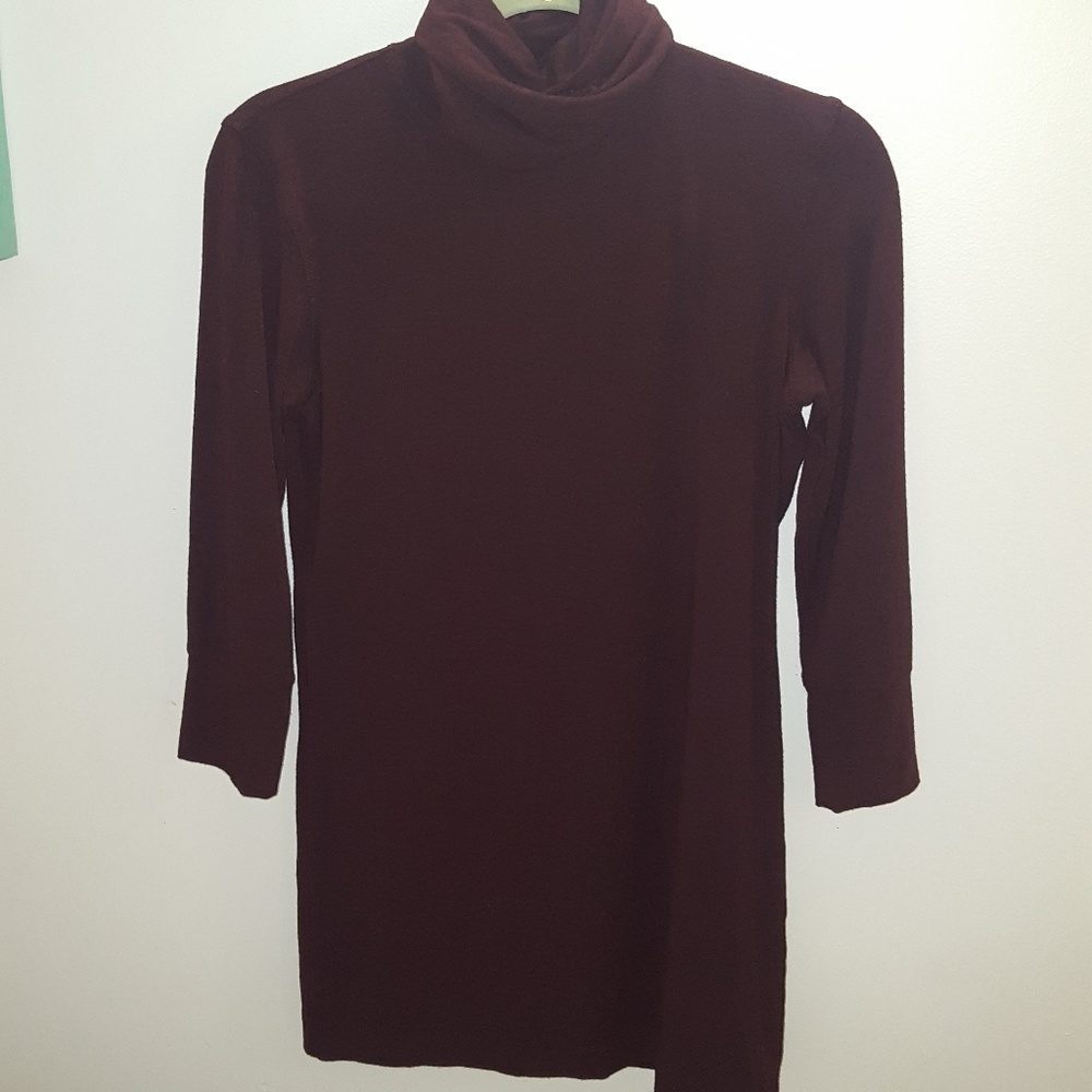 Cashmere blend tunic long sleeve turtleneck